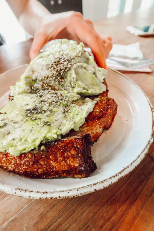Charleston, SC Travel Guide The Daily Avocado Toast Charleston South Carolina SC